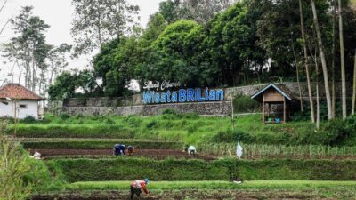 Dorong Kemajuan Ekonomi, BRI Raih Penghargaan Hari Desa Nasional 2026